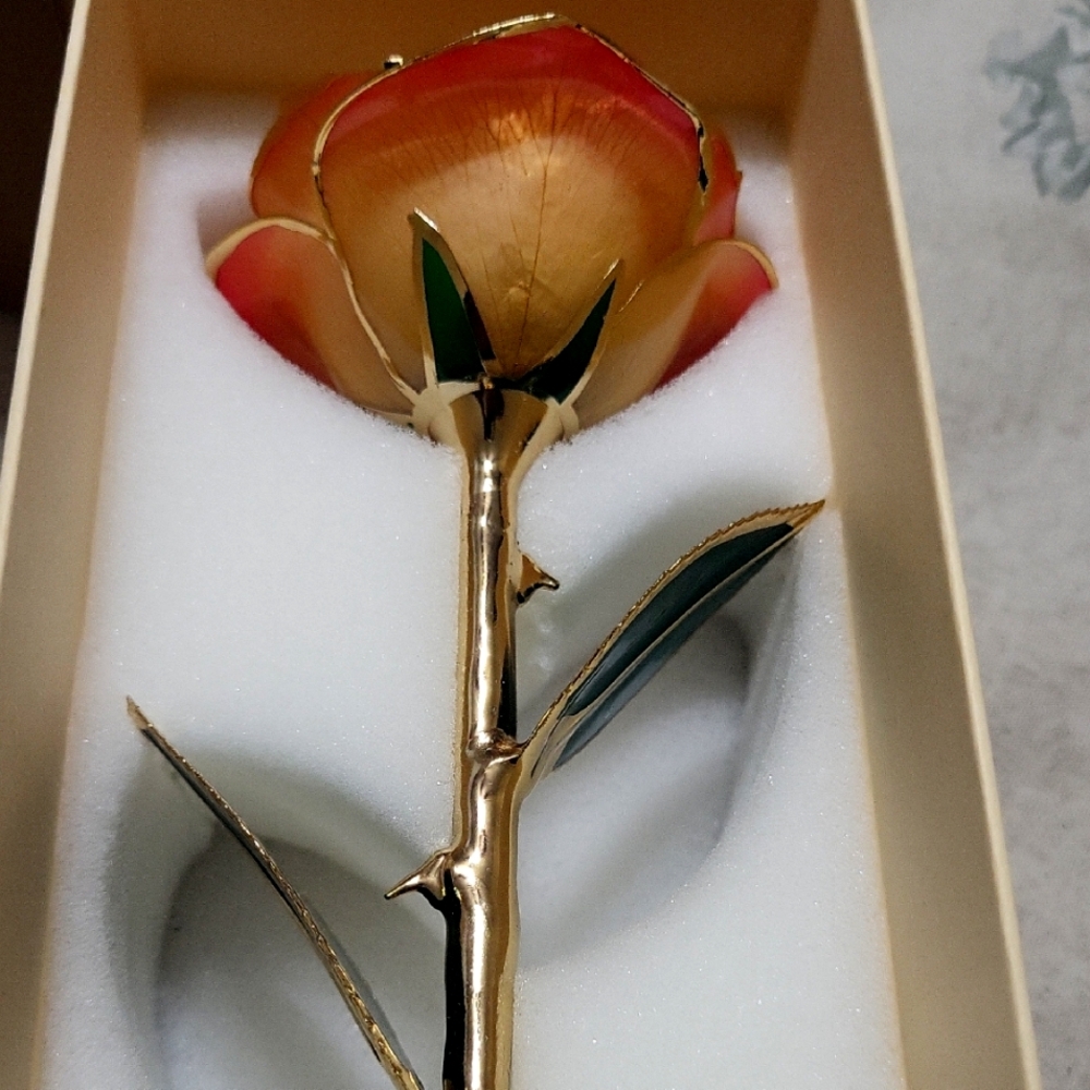 24k Gold Trimmed Rose with Red and Green